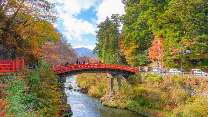 Nikko Day Trip from Tokyo Kegon Waterfall & Chuzenji Lake