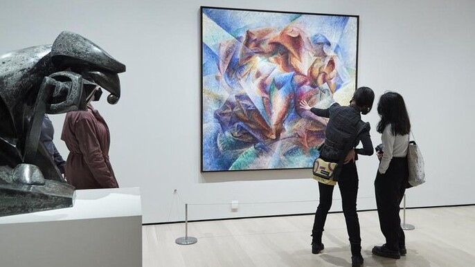 Museum of Modern Art MoMA Admission Ticket in New York