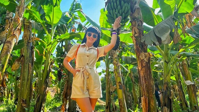 Private Felucca Trip to Banana Island & Private Transfer in Luxor