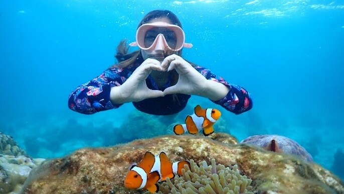 Samaesan Island Private Speedboat and Snorkeling Tour