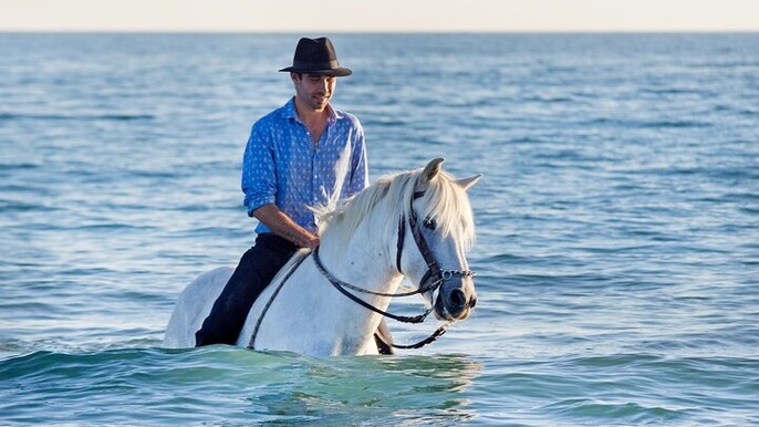 Horse Riding 3 Hours Beach, Desert, Swimming & Transfer :Hurghada