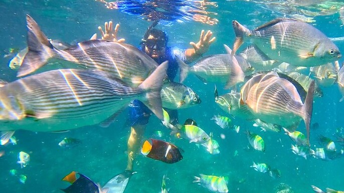 (Group Tour) Snorkeling at Los Arcos 5 Islands Hidden Beach and Cliff Jumping