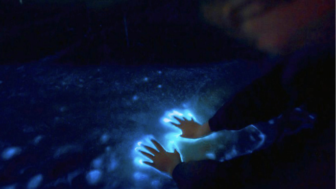 (Group Tour) Sunset & Bioluminescence Adventure at Los Arcos