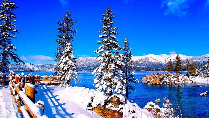 Lake Tahoe Small Group Tour from San Francisco