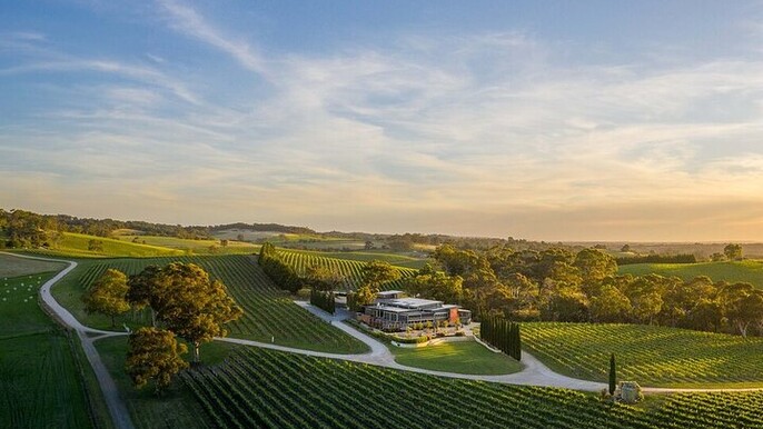 BT:From Phoenix Private Vortex to Vineyard Tour