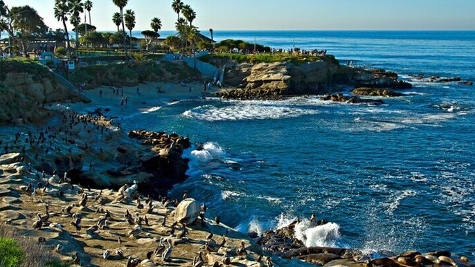 San Diego Ultimate Private Tour Experience