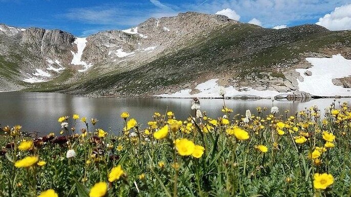 From Denver - Small group tour to Mount Evans /Mount Blue Sky