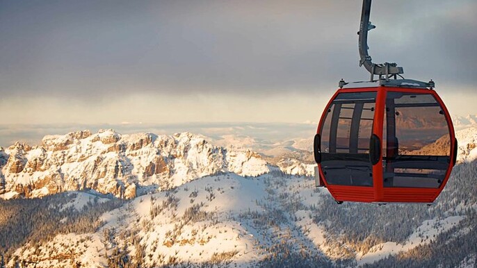 Mt. Rainier tour with Gandola ride at Sunrise and Paradise