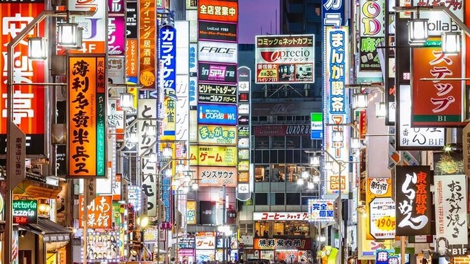 Full Day Private Tour to Nikko