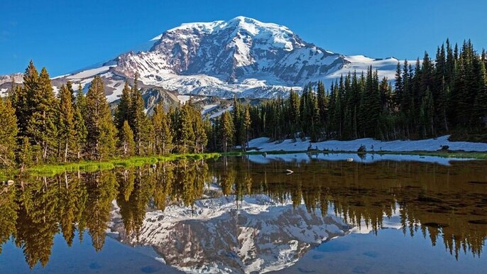 From Portland to Mt. Rainier Tour in a small group