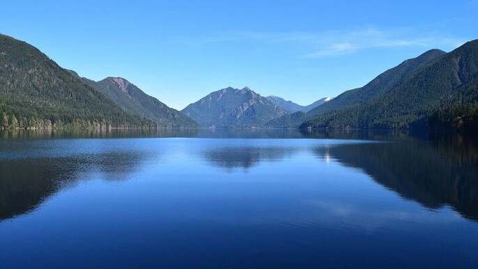 From Seattle Rainforest Beach and Olympic National Park Highlight