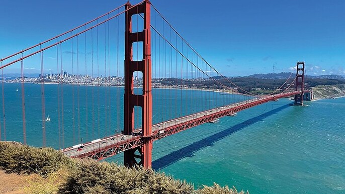 From SF - Day Trip to Muir Woods, Golden Gate Bridge & Sausalito
