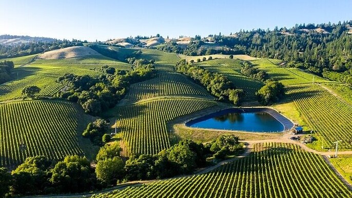 Private Enchanted Napa & Sonoma Wine Tour from Oakland