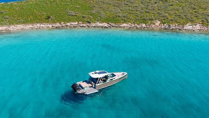 Half Day Private Cruise Mykonos to Delos and Rhenia