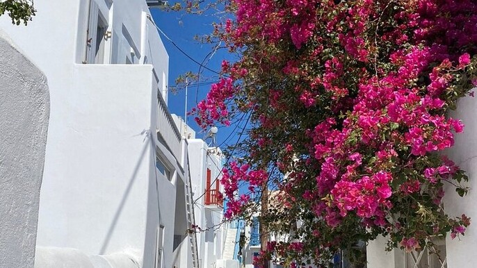 Private Mykonos Secret Spots And Island Stories