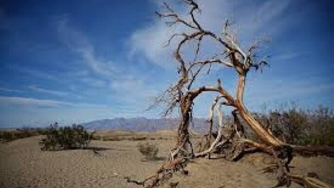 Death Valley Private Tour from Las Vegas