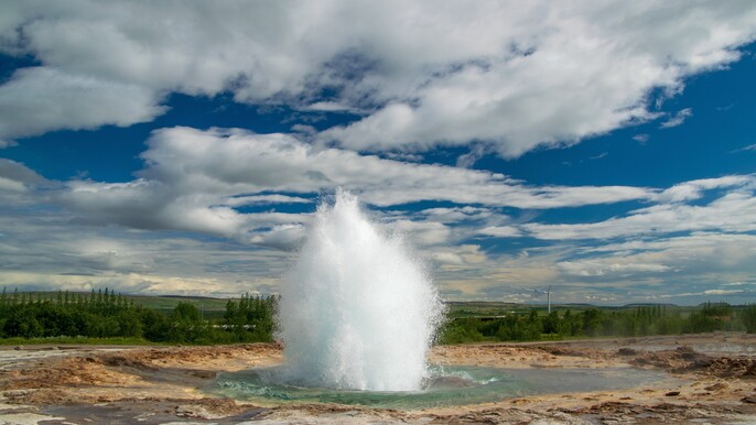 HAL Zuiderdam 18th July 2026 3 Port Tour