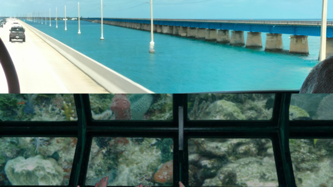 Key West Tours from Miami: Glass Bottom Boat Adventure in Paradise