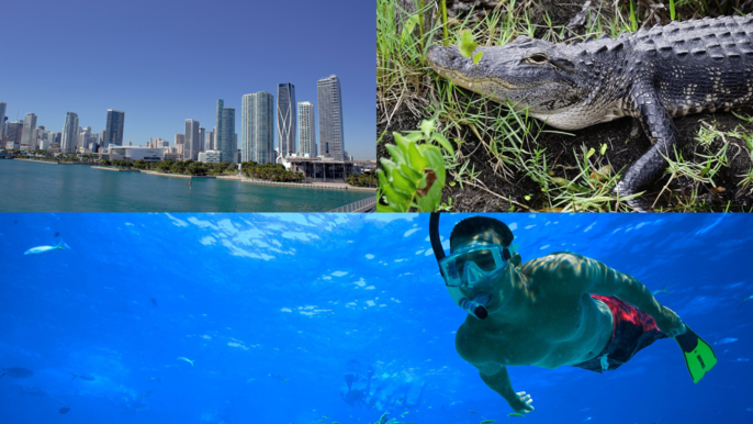 PARTIAL PAYMENT | 3-Days Package | Bus & Boat, Everglades & Key West Snorkeling | PROMO | GYG/EXP | BL160