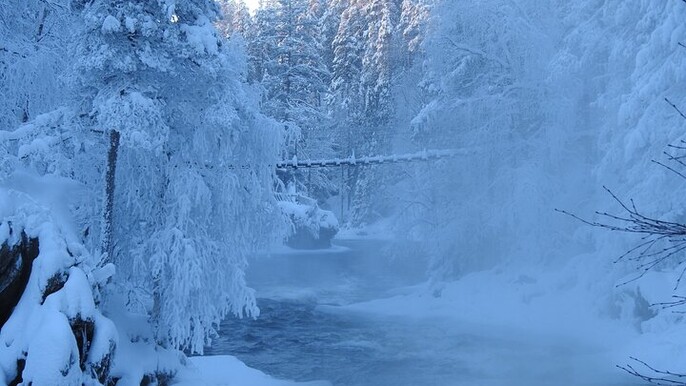Oulanka National Park with snowshoes - private excursion