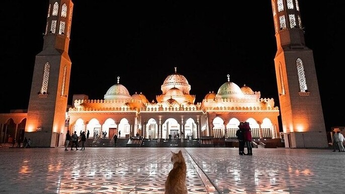 Private Guided Tour with Mosque, Shopping & Transfers / Hurghada