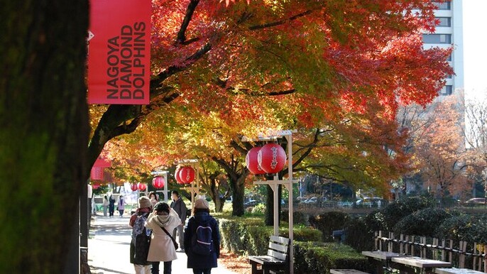 Nagoya Walking Tour Experience