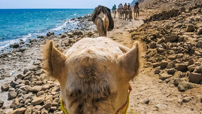 3 Pools by Bus, Dahab Visit, ATV & Camel Ride :Sharm El Sheikh