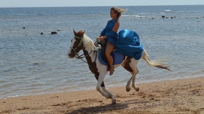 Horse Riding in Nabq Bay beach With Transfer - Sharm El Sheikh