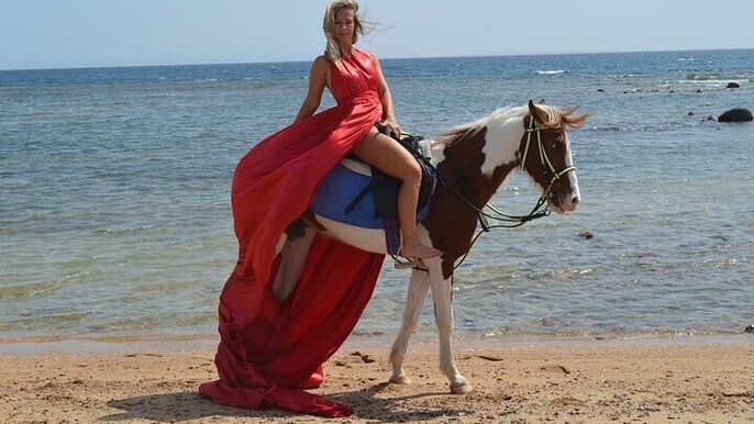 Horse Riding 2 Hours in Nabq Bay beach & Transfer-Sharm El Sheikh