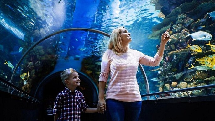 Kemer Aquarium and Fun Park Tour All Inclusive with Hotel Pickup