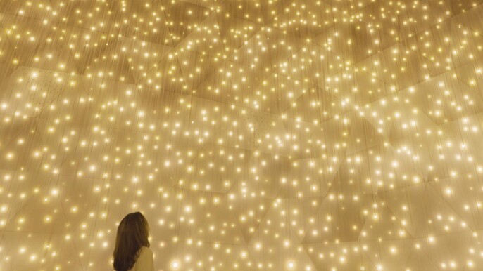 The teamLab Biovortex Kyoto Ticket