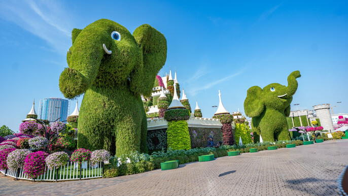 Dubai Miracle Garden Privet Photoshoot