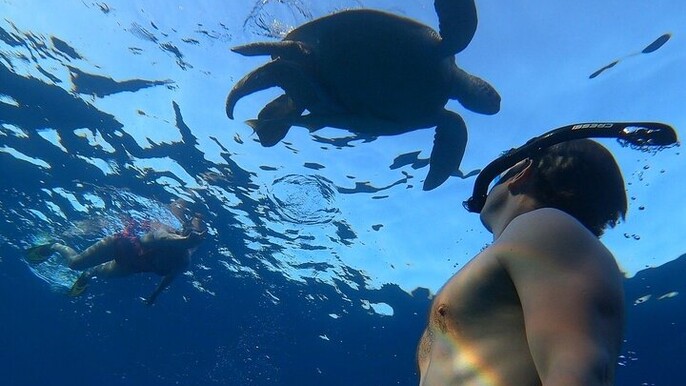 Abu Dabbab Private Day Trip, Snorkeling Sea Adventure / Hurghada