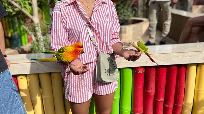 Bird & Animal Encounter in Montego Bay Feed,Hold & Snap Pics!