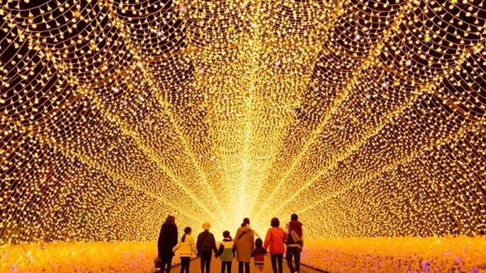 Nagashima Mitsu Outlet & Nabana no Sato Illumination Bus Tour