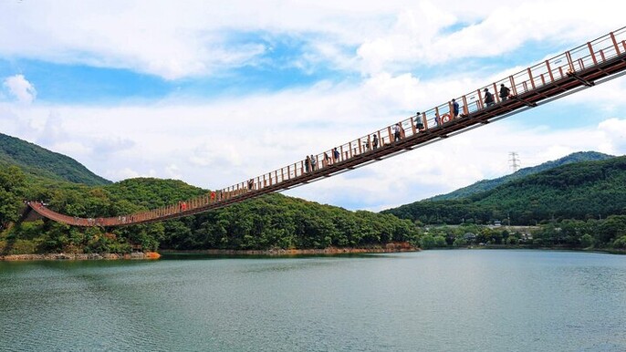 Myeongdong Seoul Bus Coach Tour Experience