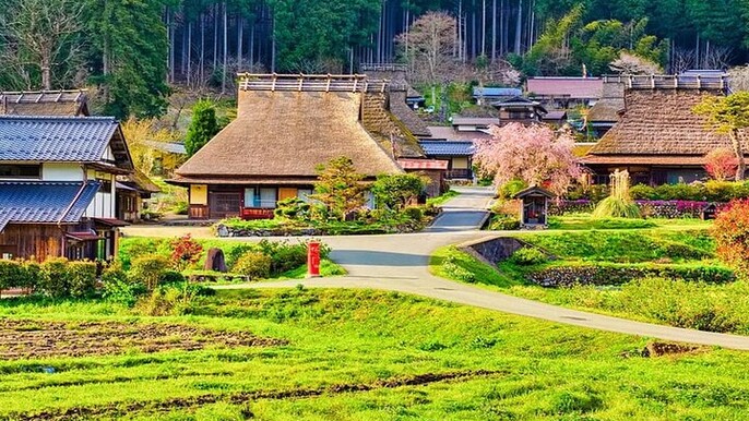 Amanohashidate Ine Funaya Miyama Village No Sato Tour from Osaka