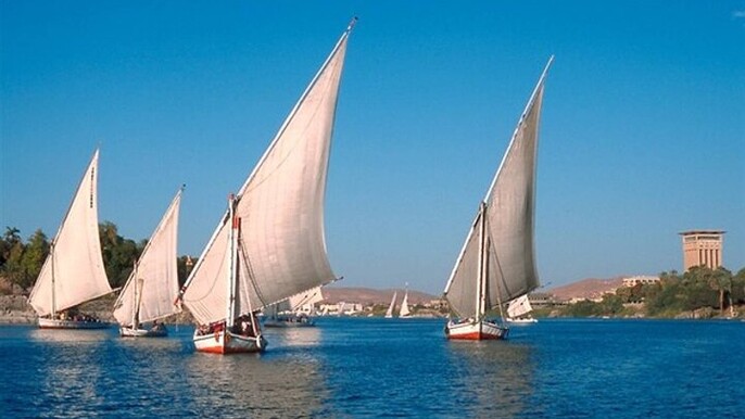 Aswan Botanical Garden Tour and Felucca Sailing Experience