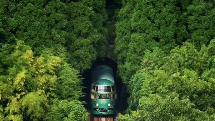 Dazaifu Nyoirinji Temple Yufuin one day tour from Fukuoka