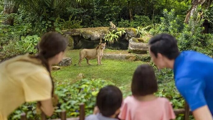 Singapore Zoo Ticket with Tram Mandai Wildlife Reserve, Singapore
