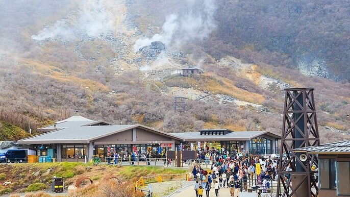 Mt. Fuji, Hakone, Owakudani, Lake Yamanaka Tour (Hakone Ropeway)