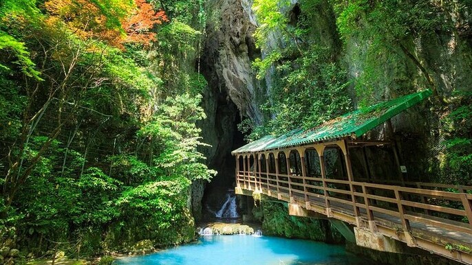 Shimonoseki Bus Tour from Fukuoka Tsunoshima Bridge