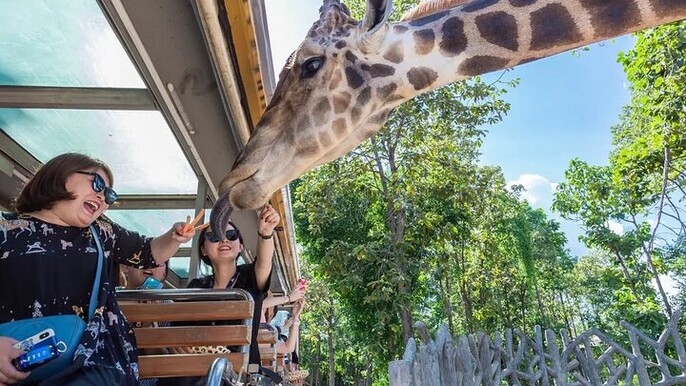 Chiang Mai Night Safari Park Ticket