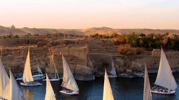 Unveiling the Gems of Aswan Botanical Garden