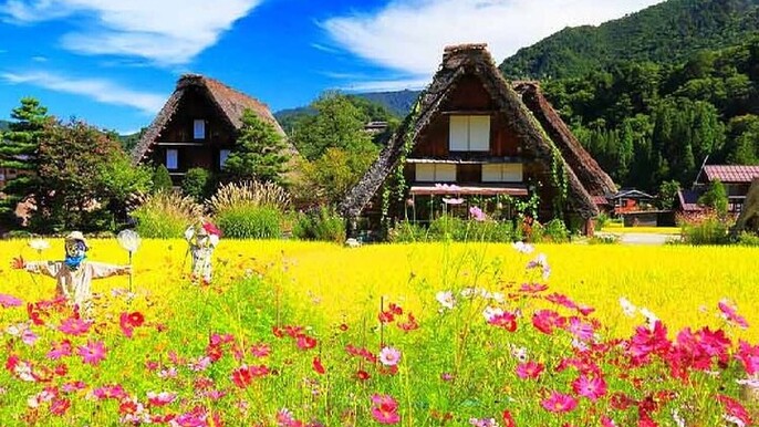 Tour to Hida Takayama and Shirakawa-go Gassho Village from Nagoya