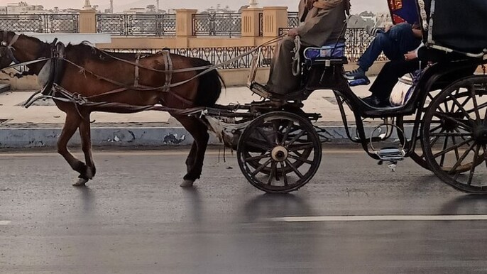 Discover Aswan’s Scenic Beauty on a Horse Carriage Ride