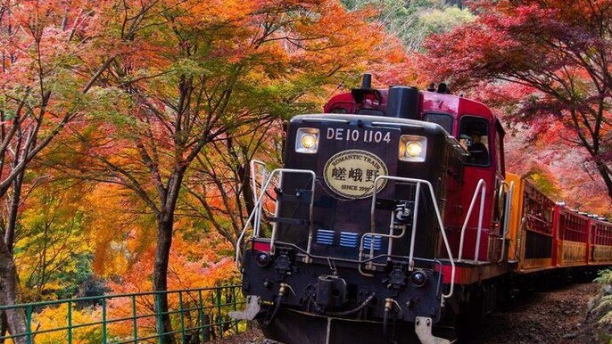 Kyoto Arashiyama and Nara Tour with Sagano Train, Giikawa Honpo
