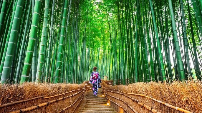 Arashiyama Autumn Leaves & Sanzen-in Temple Tour from Osaka/kyoto