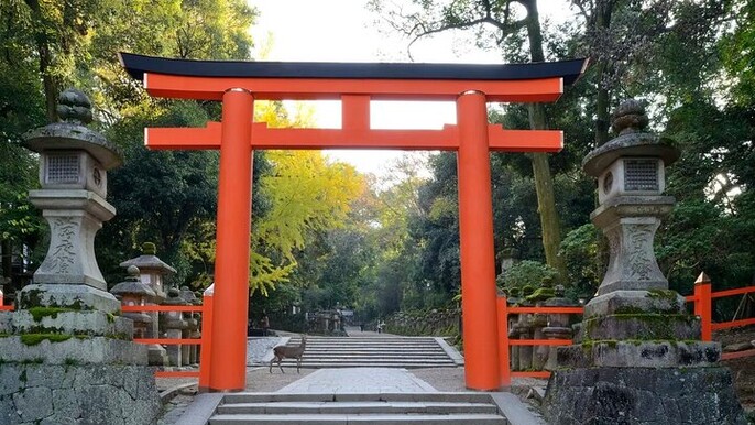 Nara Afternoon Tour from Kyoto
