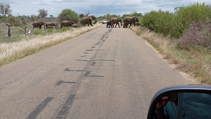 5 nights 6 days luxury Kruger park tour